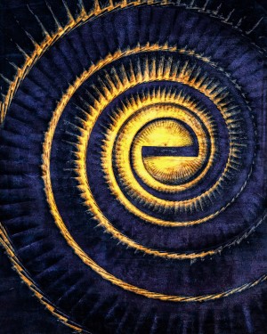 Reflections in a Golden Eye